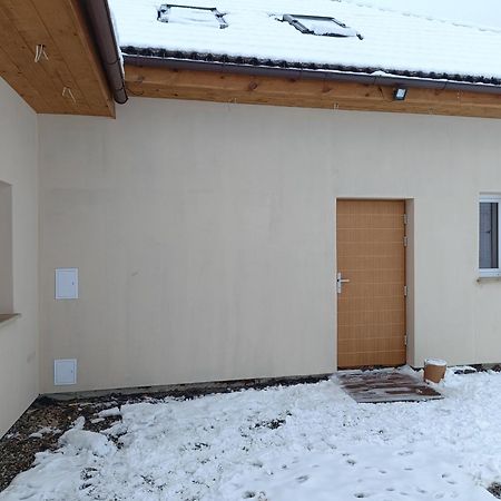 Apartament Podgorze 두슈니키 즈드로지 외부 사진