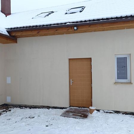 Apartament Podgorze 두슈니키 즈드로지 외부 사진